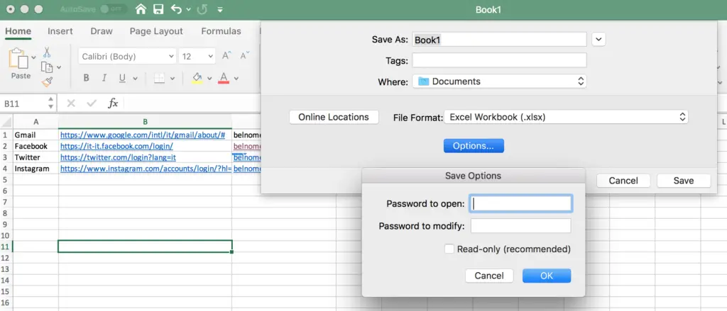 nella schermata di salvataggio del file aprendo Opzioni accederemo alla finestra per impostare la password di protezione del file