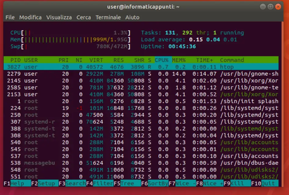 output del comando htop