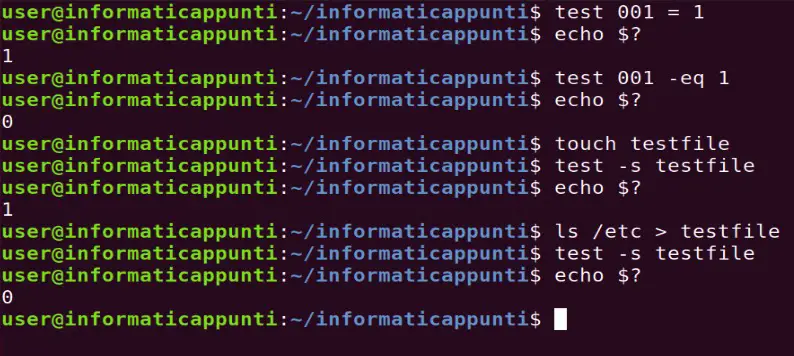 esempi comando bash test