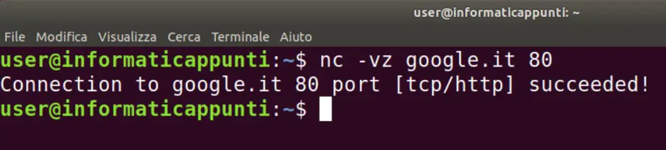 Netcat con porta verso il server di google.it