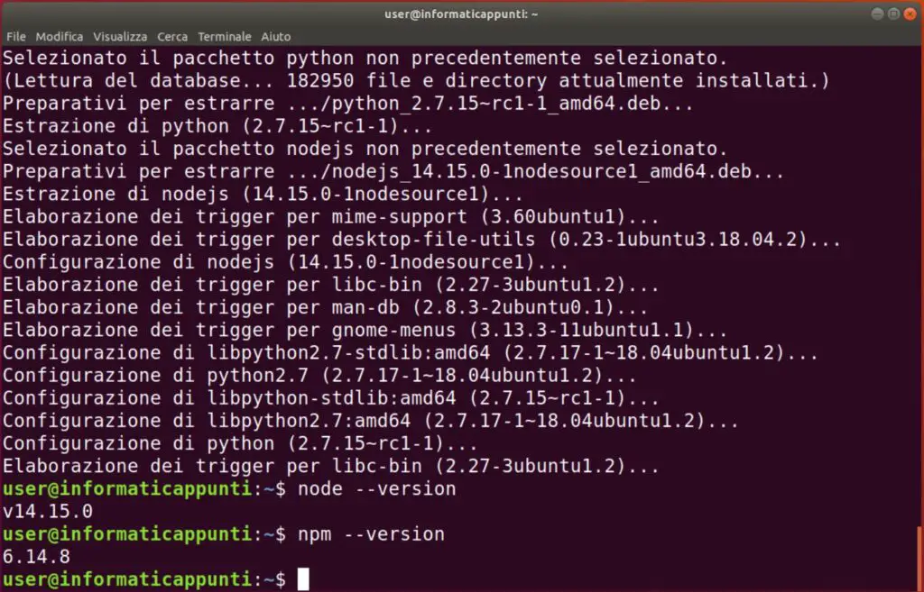 output dei comandi node --version e npm --version